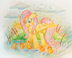 Size: 905x721 | Tagged: safe, artist:loveless-nights, derpibooru import, fluttershy, duck, pegasus, pony, colored pencil drawing, duckling, female, looking at something, looking down, mare, outdoors, rain, solo, spread wings, standing, three quarter view, traditional art, water, wing umbrella, wings