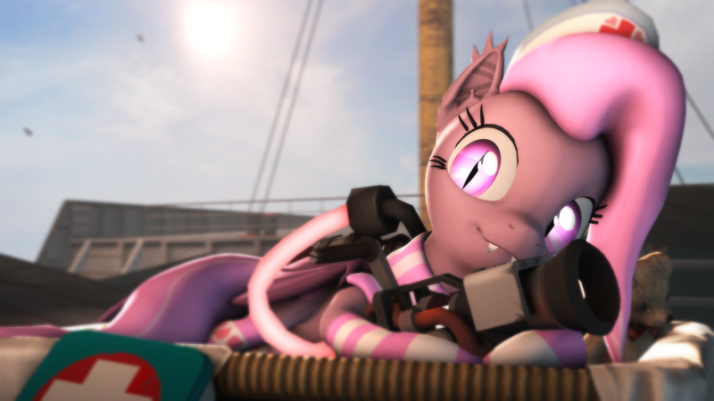 Size: 3840x2160 | Tagged: safe, artist:wintergleam, deleted from derpibooru, derpibooru import, oc, oc:wintergleam, unofficial characters only, bat pony, pony, 3d, basket, boat, clothes, cute, fangs, first aid kit, hat, medic, nurse hat, scarf, socks, solo, source filmmaker, striped socks, team fortress 2, teddy bear, vaccinator