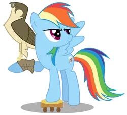 Size: 3303x3000 | Tagged: safe, artist:brony-works, derpibooru import, rainbow dash, falcon, pegasus, pony, falconry, female, high res, mare, peregrine falcon, raised hoof, simple background, stool, transparent background, vector