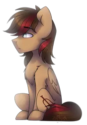 Size: 1024x1466 | Tagged: safe, artist:starlyflygallery, derpibooru import, oc, unofficial characters only, pegasus, pony, male, simple background, sitting, solo, stallion, transparent background