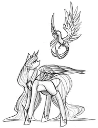 Size: 1695x2224 | Tagged: safe, artist:midfire, derpibooru import, philomena, princess celestia, phoenix, pony, flying, monochrome, one wing out, sketch