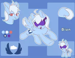 Size: 600x462 | Tagged: safe, artist:sion, derpibooru import, oc, oc:sion, unofficial characters only, pegasus, pony, reference sheet, solo, sunglasses