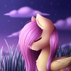 Size: 2000x2000 | Tagged: safe, artist:spirit-dude, derpibooru import, fluttershy, pegasus, pony, bust, eyes closed, female, folded wings, grass, grass field, hair over one eye, mare, night, portrait, profile, scenery, solo, stars, twilight (astronomy)