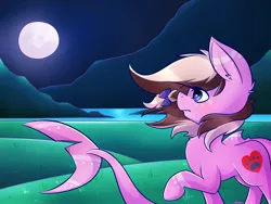 Size: 1280x960 | Tagged: artist:ashee, derpibooru import, moon, night, oc, oc:ashee, original species, safe, shark, shark pony, solo, unofficial characters only, water