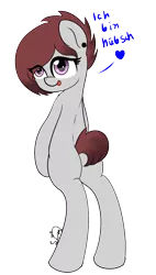 Size: 610x1072 | Tagged: safe, artist:limedreaming, derpibooru import, oc, oc:rose red, unofficial characters only, earth pony, pony, bipedal, female, german, mare, simple background, solo, transparent background