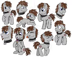 Size: 1024x812 | Tagged: safe, artist:tambelon, derpibooru import, oc, oc:sub zero, unofficial characters only, earth pony, pony, choker, male, sketch, sketch dump, solo, stallion