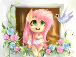 Size: 640x480 | Tagged: safe, artist:pinkymynery2212, derpibooru import, fluttershy, bird, pony, clothes, colored pupils, cute, flower, open mouth, rose, shyabetes, smiling, solo, trash dove, window