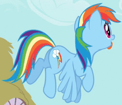 Size: 471x405 | Tagged: safe, derpibooru import, screencap, rainbow dash, pegasus, pony, a bird in the hoof, animated, cropped, cute, derp, female, flapping, flying, gif, loop, mare, open mouth, rainbow dash is best facemaker, raised hoof, silly, silly pony, smiling, solo, spread wings, tongue out