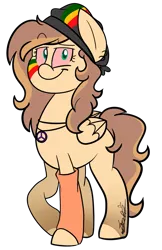 Size: 1885x2901 | Tagged: safe, artist:befishproductions, derpibooru import, oc, oc:mango, unofficial characters only, pegasus, pony, bloodshot eyes, female, leg warmers, mare, signature, simple background, solo, transparent background