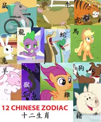 Size: 669x808 | Tagged: applejack, bessie, big cat, chinese text, chinese zodiac, cow, derpibooru import, dog, dragon, horse, monkey, mouse, mr. mousey, pig, rabbit, rat, safe, scootachicken, scootaloo, sheep, snake, spike, tiger, winona