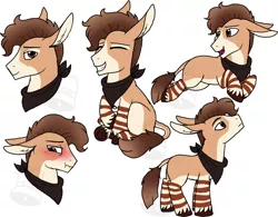 Size: 900x701 | Tagged: safe, artist:tambelon, derpibooru import, oc, oc:bucky, unofficial characters only, hybrid, pony, zonkey, bandana, expressions, male, sketch, sketch dump, stallion, watermark