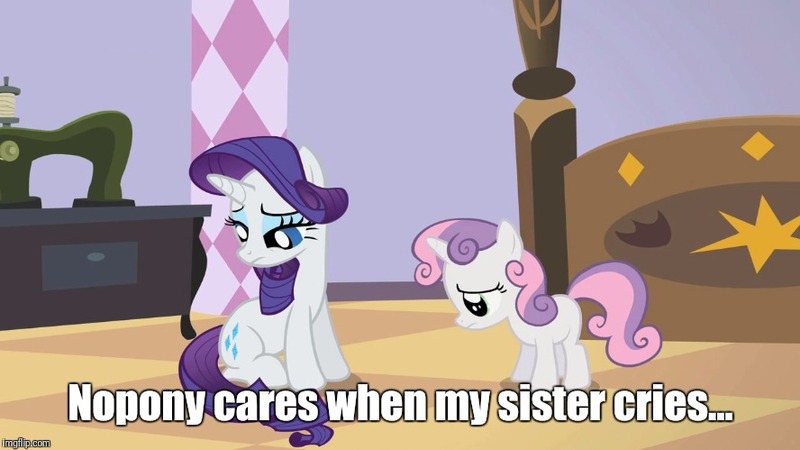 Size: 888x499 | Tagged: safe, derpibooru import, edit, edited screencap, screencap, rarity, sweetie belle, pony, sisterhooves social, meme, sad