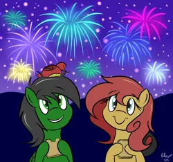 Size: 1280x1200 | Tagged: artist:hummingway, bird, derpibooru import, duo, fireworks, food, oc, oc:feather hummingway, oc:pan pare, safe, unofficial characters only