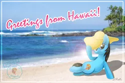 Size: 3872x2592 | Tagged: safe, artist:iheartjapan789, derpibooru import, oc, oc:andrea, unofficial characters only, pony, unicorn, beach, hat, hawaii, irl, photo, ponies in real life, postcard