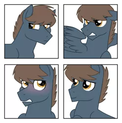 Size: 1139x1147 | Tagged: safe, artist:tambelon, derpibooru import, oc, oc:aegis, unofficial characters only, pegasus, pony, expressions, male, solo, stallion