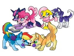 Size: 1024x768 | Tagged: safe, artist:usagi-zakura, derpibooru import, applejack, fluttershy, pinkie pie, rainbow dash, rarity, twilight sparkle, wolf, flutterwolf, my little wolf, pinkie wolf, species swap, twiwolf, wolf dash, wolfity, wolfjack