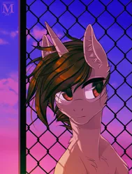Size: 757x1000 | Tagged: safe, artist:margony, derpibooru import, oc, unofficial characters only, pony, unicorn, brown hair, chainlinkfence, cloud, commission, fence, image, male, png, sky, solo, stallion