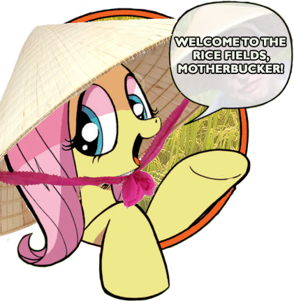 Size: 421x431 | Tagged: bad advice fluttershy, conical hat, dank memes, derpibooru import, exploitable meme, filthy frank, fluttershy, hat, meme, rice fields, safe, shitposting, vulgar, welcome to the rice fields