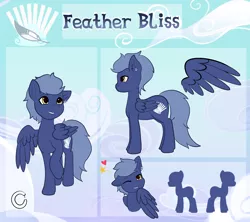Size: 1280x1138 | Tagged: safe, artist:pastel-pony-princess, derpibooru import, oc, oc:feather bliss, unofficial characters only, pegasus, pony, male, one eye closed, piercing, reference sheet, smiling, solo, stallion, wink