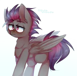 Size: 1878x1849 | Tagged: safe, artist:silvia woods, derpibooru import, oc, oc:cloud bringer, unofficial characters only, pegasus, pony, male, simple background, solo, unamused