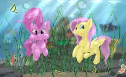 Size: 2541x1545 | Tagged: safe, artist:skyresonance, derpibooru import, fluttershy, pinkie pie, fish, pony, bubble, coral, duo, looking at you, oyster, puffy cheeks, seaweed, underwater