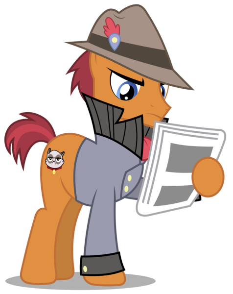 Size: 2380x3000 | Tagged: safe, artist:brony-works, derpibooru import, sourpuss, earth pony, pony, clothes, grumpy cat, hat, high res, newspaper, simple background, solo, transparent background, vector