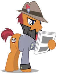 Size: 2380x3000 | Tagged: safe, artist:brony-works, derpibooru import, sourpuss, earth pony, pony, clothes, grumpy cat, hat, high res, newspaper, simple background, solo, transparent background, vector