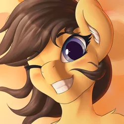 Size: 1280x1280 | Tagged: safe, artist:mricantdraw, derpibooru import, oc, oc:heartmend, unofficial characters only, pony, bust, ear fluff, explicit source, eyelashes, one eye closed, portrait, smiling, solo, wink