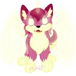 Size: 1024x1024 | Tagged: safe, artist:usagi-zakura, derpibooru import, roseluck, wolf, bad wolf, crossover, ear fluff, eyes closed, my little wolf, open mouth, rose tyler, simple background, solo, species swap, spread wings, transparent background, wings