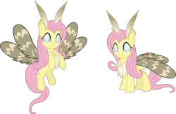 Size: 6000x3910 | Tagged: absurd resolution, alternate universe, artist:magister39, blind, derpibooru import, fluttermoth, fluttershy, mothpony, nightmareverse, original species, safe, solo, species swap