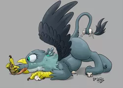 Size: 2000x1428 | Tagged: suggestive, artist:theandymac, derpibooru import, gabby, gryphon, mouse, abdominal bulge, blushing, carnivore, commission, digital art, eating, female, fetish, food chain, gabbypred, griffons doing griffon things, happy, imminent anal vore, imminent vore, one eye closed, open mouth, pinned, predation, predator, prey, simple background, tail hold, tongue out, wink
