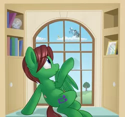 Size: 1015x949 | Tagged: amputee, artist:thegamblehorse, book, chest fluff, cloud, commission, derpibooru import, ear fluff, flying, indoors, looking up, missing limb, missing wing, oc, one winged pegasus, safe, solo focus, unofficial characters only, waving, window, yearning