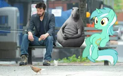 Size: 1280x800 | Tagged: artist:raiden-dash, city, derpibooru import, funny, homunculus, homunculus loxodontus, keanu reeves, lyra heartstrings, meme, park, photoshop, russia, russian, sad, sad keanu, safe, zhdun