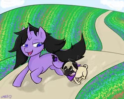 Size: 1280x1024 | Tagged: safe, artist:umbraamethyst, derpibooru import, oc, oc:umbra amethyst, unofficial characters only, dog, pony, pug, unicorn, acceptance, angel, bandana, best friends, colored pupils, curved horn, cute, field, flower, halo, happy, path, pet, pet oc, ponysona, rainbow, running, tongue out