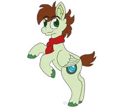 Size: 3893x3457 | Tagged: safe, artist:moddie, deleted from derpibooru, derpibooru import, oc, oc:aperture, unofficial characters only, pegasus, pony, clothes, female, hind legs, scarf, standing