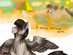 Size: 1280x960 | Tagged: safe, artist:yomi brasi, derpibooru import, oc, unofficial characters only, pegasus, pony, russian, solo, translated in the description