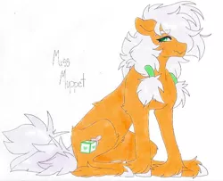 Size: 735x597 | Tagged: safe, artist:frozensoulpony, derpibooru import, oc, oc:miss muppet, unofficial characters only, earth pony, pony, female, mare, offspring, parent:big macintosh, parent:fluttershy, parents:fluttermac, sitting, solo, traditional art