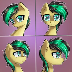 Size: 700x700 | Tagged: safe, artist:chaosangeldesu, derpibooru import, oc, oc:ailan, unofficial characters only, pegasus, pony, cute
