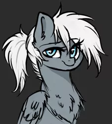 Size: 435x480 | Tagged: safe, artist:moonabelle, derpibooru import, oc, oc:silvery snowcloud, unofficial characters only, pegasus, pony, bust, chest fluff, female, mare, offspring, parent:double diamond, parent:night glider, parents:nightdiamond, portrait, simple background, solo