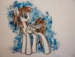 Size: 4320x3240 | Tagged: safe, artist:smartmeggie, derpibooru import, oc, oc:coconut, unofficial characters only, pegasus, pony, absurd resolution, solo, traditional art, watercolor painting