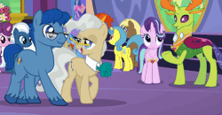 Size: 964x502 | Tagged: safe, derpibooru import, screencap, coco crusoe, double diamond, leadwing, lemon hearts, mayor mare, night glider, pristine, starlight glimmer, sugar belle, sunburst, thorax, trixie, changedling, changeling, earth pony, pegasus, pony, unicorn, celestial advice, animated, clothes, cropped, facial hair, female, gif, glasses, great moments in animation, king thorax, male, mare, stallion, talking, twilight's castle, unshorn fetlocks, walking