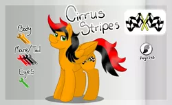 Size: 1074x658 | Tagged: safe, artist:jen-neigh, derpibooru import, oc, oc:cirrus stripes, unofficial characters only, pegasus, pony, cutie mark, glossy, reference sheet, shading