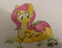 Size: 1254x988 | Tagged: safe, artist:goat train, artist:sugaryviolet, derpibooru import, fluttershy, drider, monster pony, original species, spider, spiderpony, commission, looking at something, looking down, multiple eyes, prone, smiling, solo, species swap, spidershy, traditional art