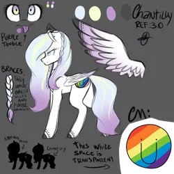 Size: 4200x4200 | Tagged: safe, artist:yeadatchantilly, derpibooru import, oc, oc:chantilly, unofficial characters only, pegasus, pony, absurd resolution, reference sheet