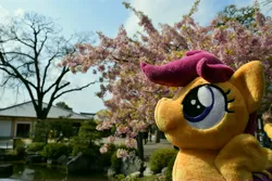 Size: 6000x4000 | Tagged: absurd resolution, artist:hystericalcub, derpibooru import, irl, japan, photo, plushie, safe, scootaloo, solo