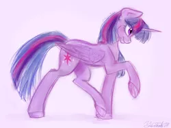 Size: 1442x1078 | Tagged: safe, artist:fanaticpanda, derpibooru import, twilight sparkle, twilight sparkle (alicorn), alicorn, pony, chest fluff, raised hoof, simple background, sketchy, smiling, solo