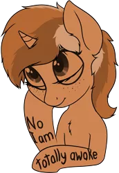 Size: 1485x2160 | Tagged: safe, artist:zippysqrl, derpibooru import, oc, oc:sign, unofficial characters only, pony, unicorn, ask sign, blatant lies, body writing, bust, chest fluff, eyes closed, freckles, hoof on cheek, mute, seems legit, simple background, solo, transparent background