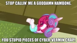 Size: 683x383 | Tagged: a flurry of emotions, angry, cans.wav, derpibooru import, edit, edited screencap, exploitable meme, fury heart, image macro, meme, princess flurry heart, safe, screencap, solo, tantrum, the man they call ghost, true capitalist radio, vulgar