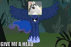 Size: 1019x681 | Tagged: safe, derpibooru import, princess luna, horse, pony, animal jam, draw on me, exploitable meme, give me a head, meme