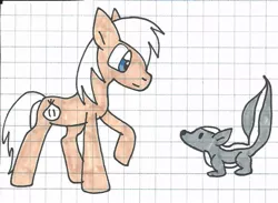 Size: 883x645 | Tagged: safe, artist:cmara, derpibooru import, oc, oc:onion chop, unofficial characters only, pony, skunk, animal, graph paper, pet, traditional art